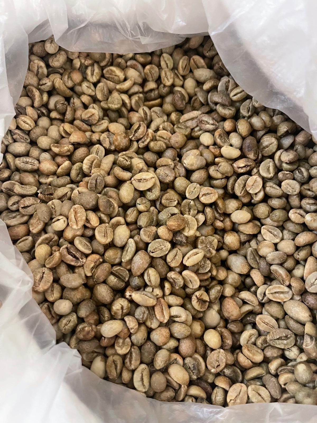 Green coffee beans in a sack — first sample